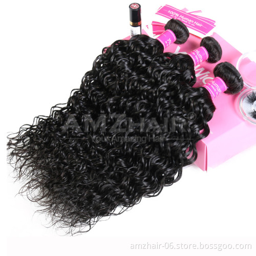 Water Wave Double Weave Raw Brazilian Human Hair Vendors Cheap Wholesale Price Cuticle Aligned Remy Human Hair Extension Bundle